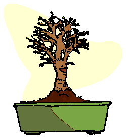 Bonsai cliparts