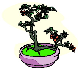 Bonsai cliparts