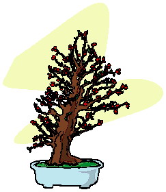 Bonsai cliparts