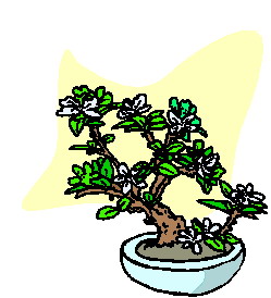 Bonsai cliparts