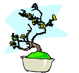 Bonsai cliparts