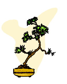 Bonsai cliparts