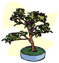 Bonsai cliparts