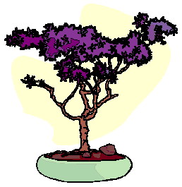 Bonsai cliparts