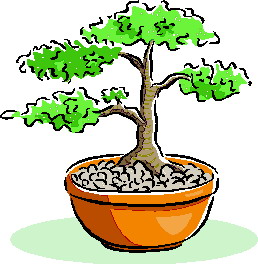 Bonsai cliparts