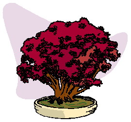 Bonsai cliparts