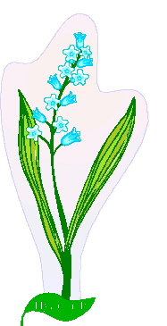 Fruhlingsblumen