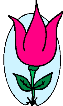 Fruhlingsblumen