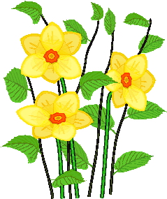 Fruhlingsblumen