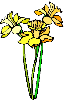 Fruhlingsblumen