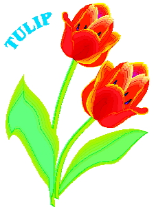 Fruhlingsblumen