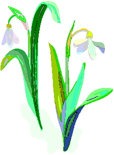 Fruhlingsblumen