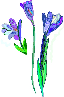 Fruhlingsblumen