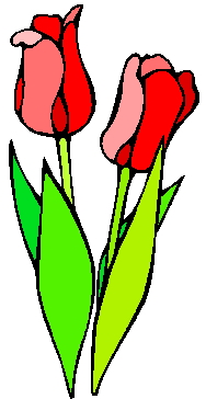 Fruhlingsblumen