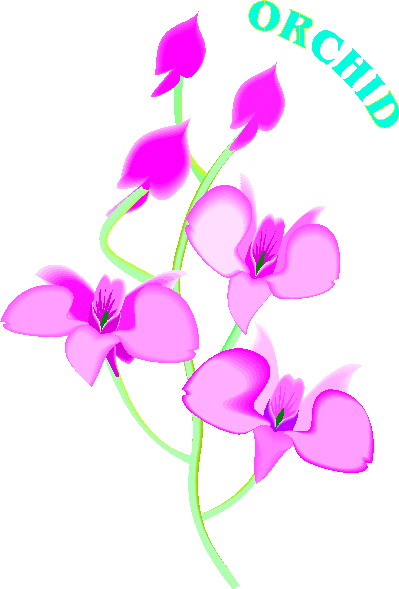 Orchidee cliparts