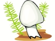 Pilze cliparts