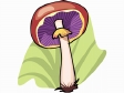 Pilze cliparts