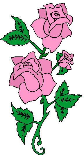 Rosen cliparts