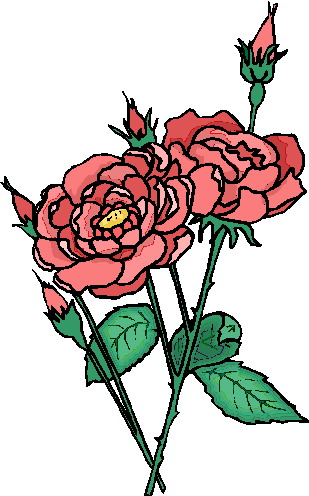 Rosen cliparts