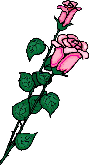 Rosen cliparts