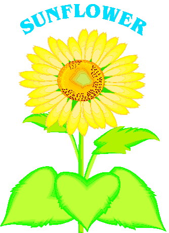 Sonnenblume cliparts