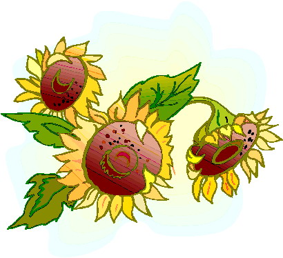 Sonnenblume cliparts