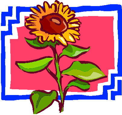 Sonnenblume cliparts