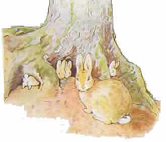 Beatrix potter