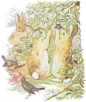 Beatrix potter