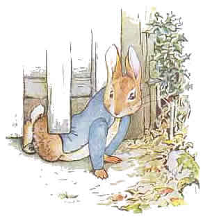 Beatrix potter