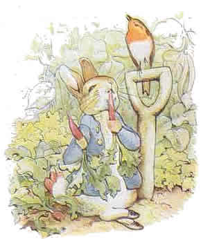 Beatrix potter