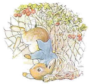 Beatrix potter