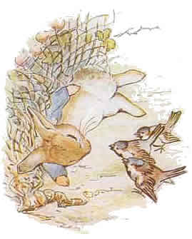 Beatrix potter cliparts