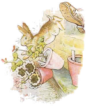 Beatrix potter cliparts