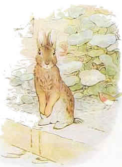 Beatrix potter