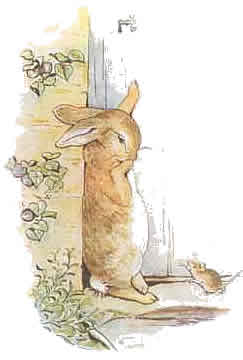 Beatrix potter