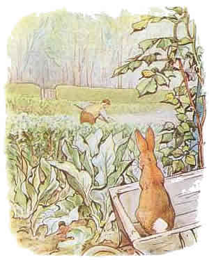 Beatrix potter cliparts