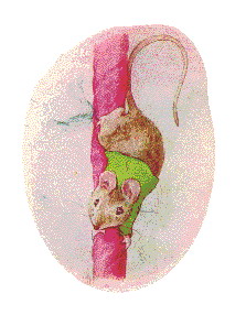 Beatrix potter cliparts