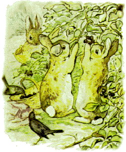 Beatrix potter cliparts