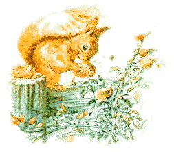 Beatrix potter