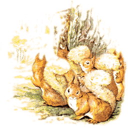 Beatrix potter cliparts