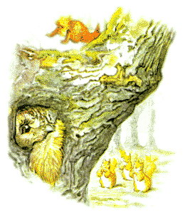 Beatrix potter cliparts