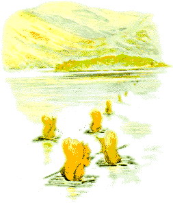 Beatrix potter cliparts