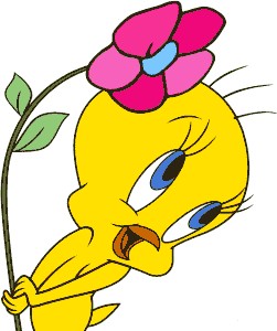 Tweety