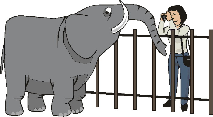 Zoo cliparts