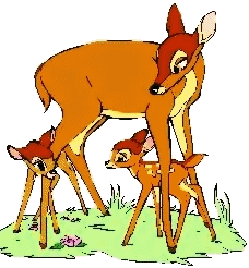 Bambi disney bilder