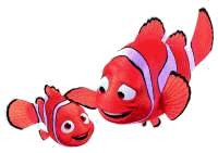 Findet nemo