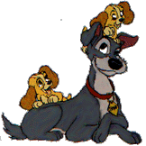 Susi und strolch disney bilder