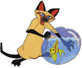 Susi und strolch disney bilder