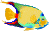 Andere fischen bilder